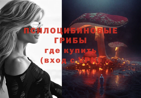 тгк Алзамай